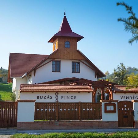 Buzás Pince Vendégház Ecséd Exteriér fotografie